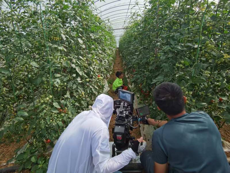 河南蒙古族产品宣传视频拍摄公司进阶指南，助力品牌抢占传播高地